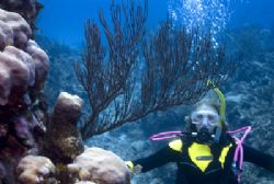 Analyzing soft corals. Nikon D200 in an
Ikelite Housing ... by Don Bricker 
